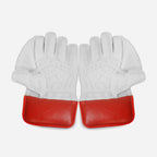 ZAP Instinct Wicket Keeping Gloves-1