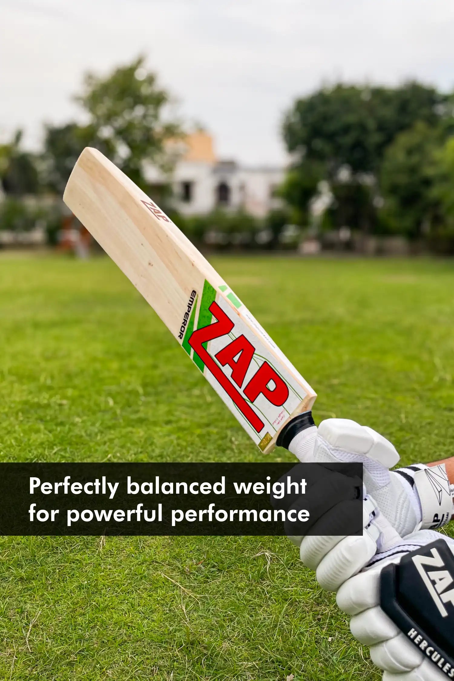 ZAP Classic Emperor English Willow Bat-4