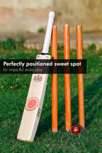 ZAP Signature Power 2000 Premium Willow Bat-1