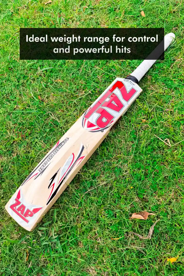 ZAP Besto Kashmir Willow Bat-1