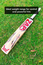 ZAP Besto Kashmir Willow Bat-1