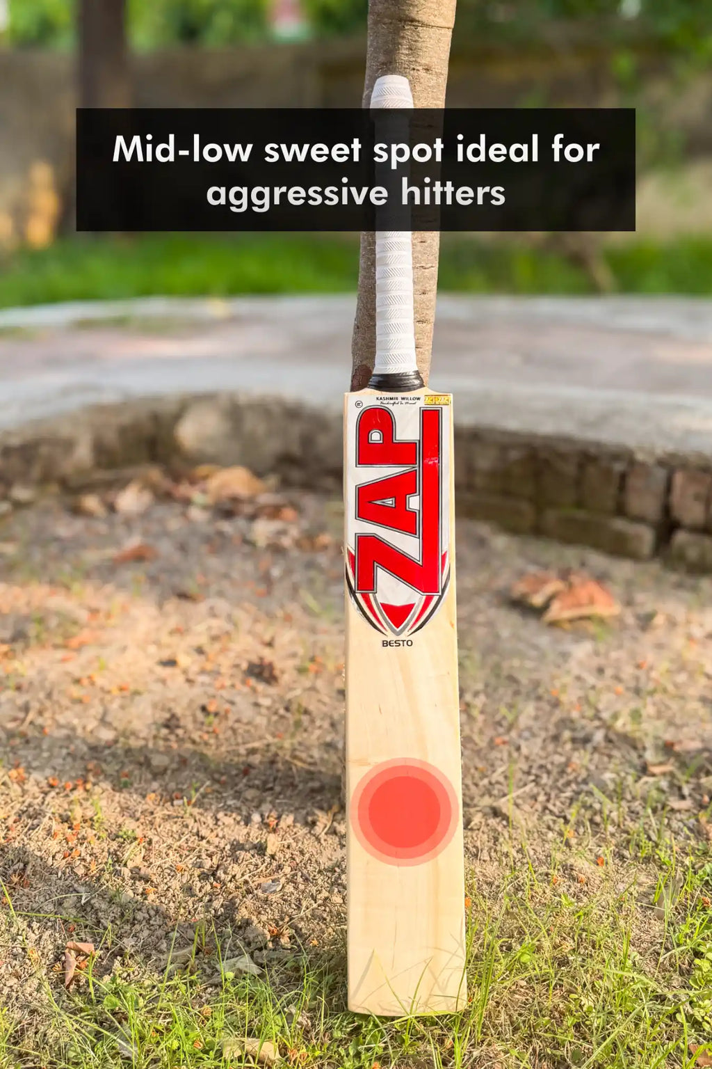 ZAP Besto Kashmir Willow Bat-2