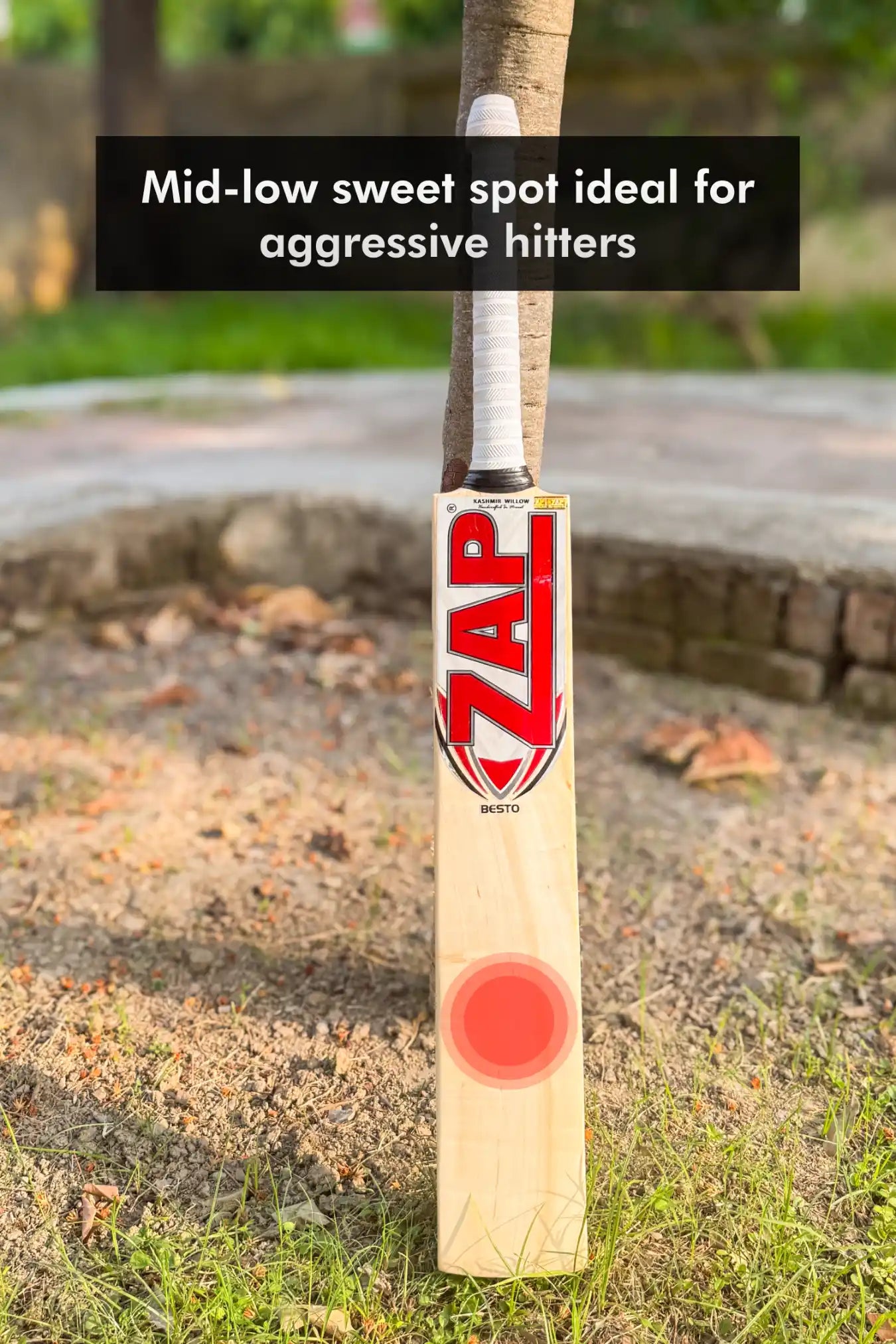 ZAP Besto Kashmir Willow Bat-2