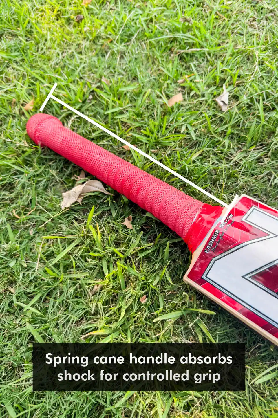 ZAP Drive Kashmir Willow Bat-3
