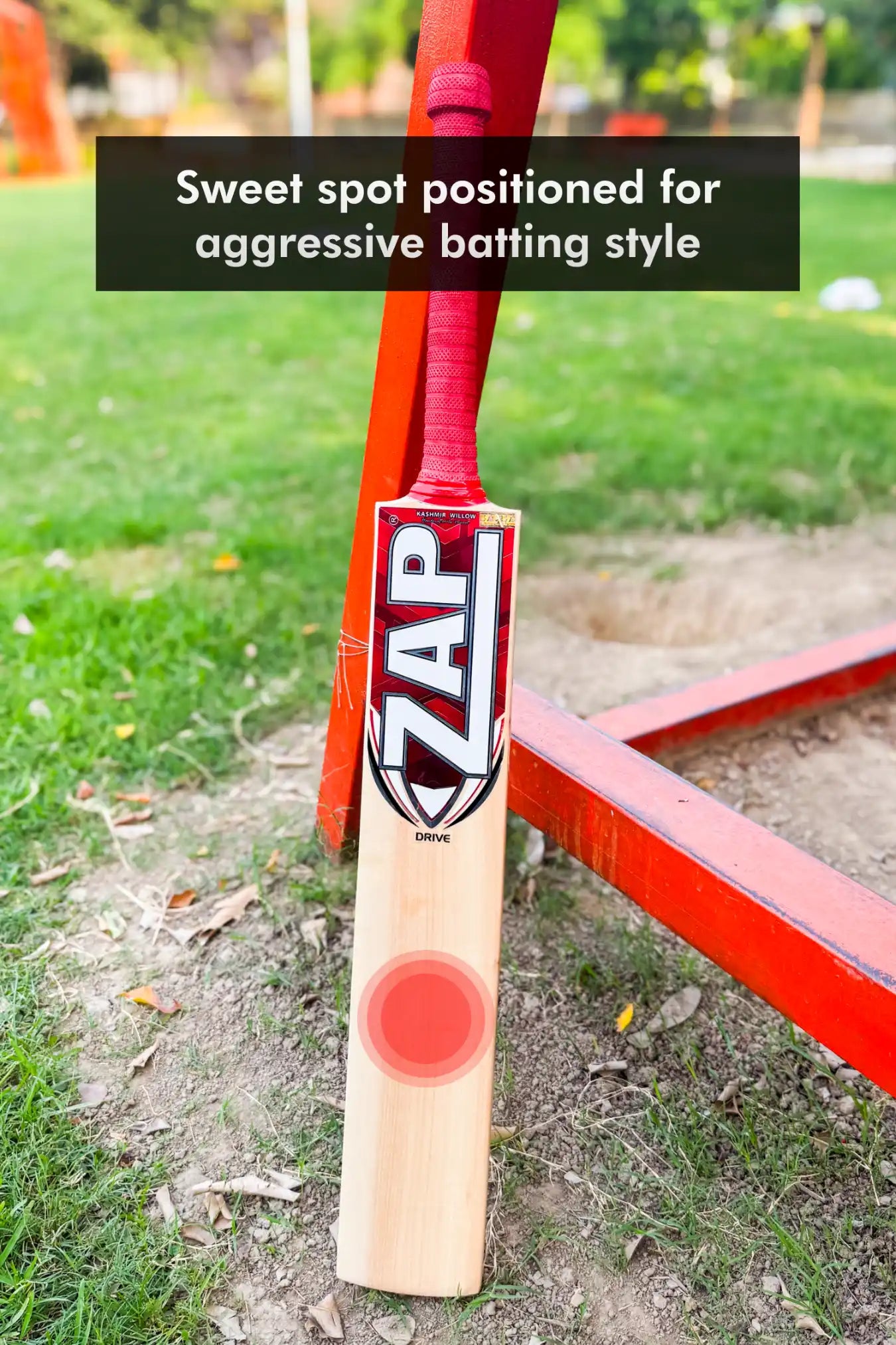 ZAP Drive Kashmir Willow Bat-2