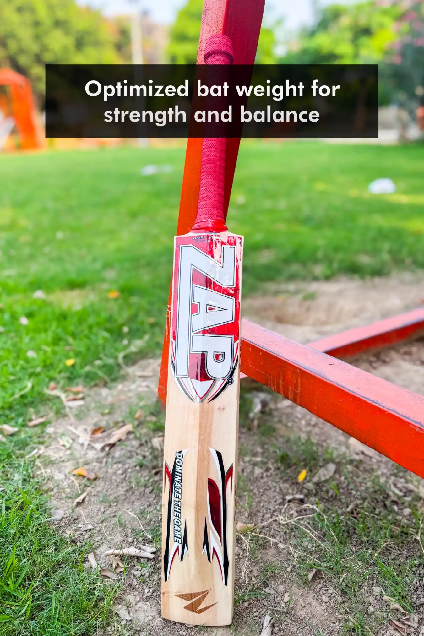 ZAP Drive Kashmir Willow Bat-4