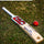 ZAP Glider Kashmir Willow Bat-3