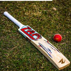 ZAP Glider Kashmir Willow Bat-3