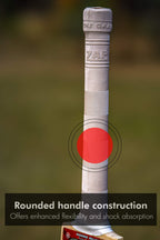 ZAP Instinct Kashmir Willow Bat-3