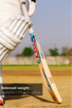 ZAP Gun Carbine 10000 English Willow Cricket Bat-4